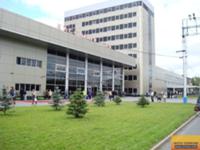 Это единственное в Тюмени, чем гордятся местные жители. если уж на